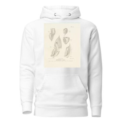 Centurie zoologique Pl.56 by René-Primevère Lesson Hoodie