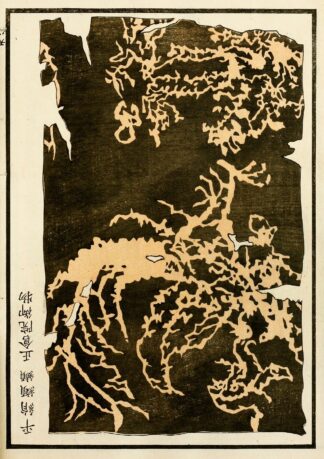 Chinese prints pl.74 by A. F. Stoddard & Company