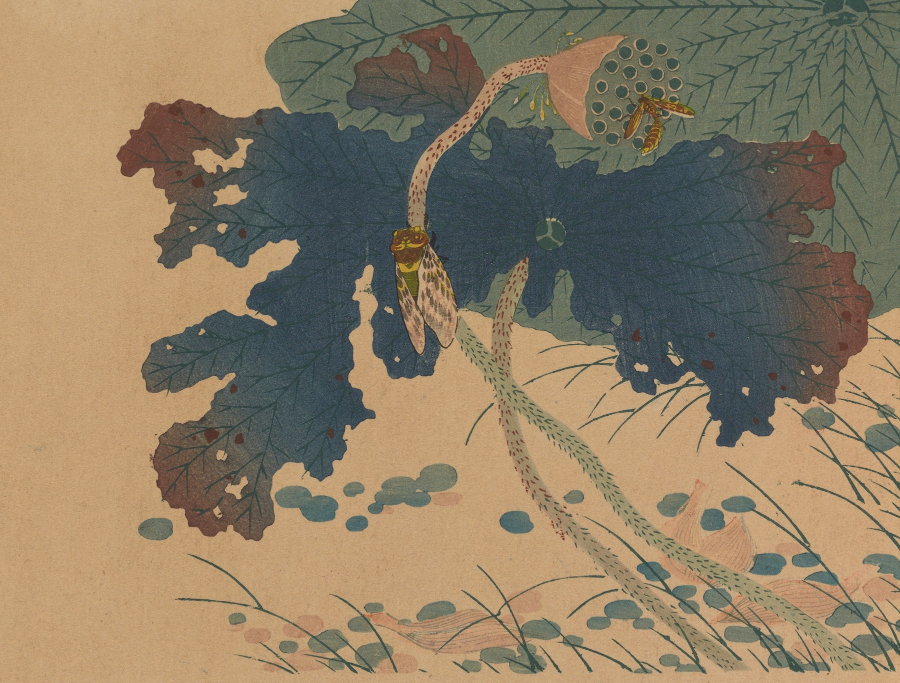 Chūka senzen, Pl.03 by Shunkei Mori