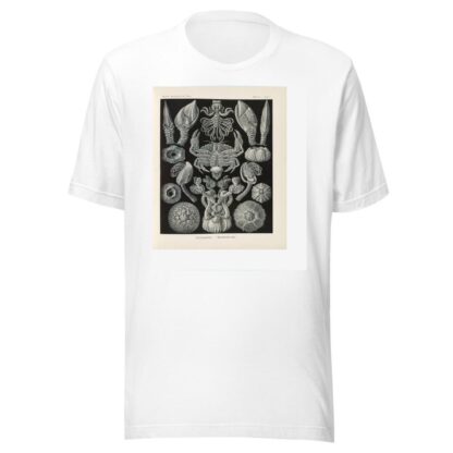 Cirripedia. – Rankenkreble by Ernst Haeckel T-Shirt