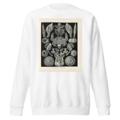 Cirripedia. – Rankenkreble by Ernst Haeckel Sweatshirt