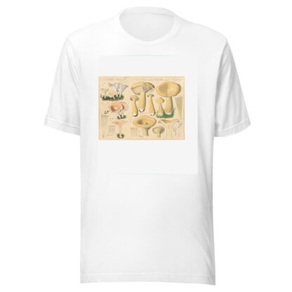 Clitocybe obsoleta, Clitocybe geotropa by Hans Walty T-Shirt