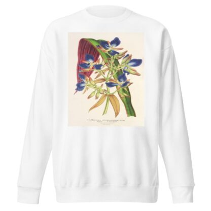 Cochliostenia odoratissimum by Charles Antoine Lemaire Sweatshirt
