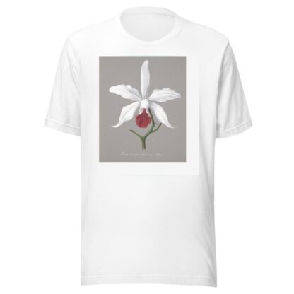 Collection d’orchidées Pl.13 by Anonymous T-Shirt