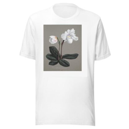 Collection d’orchidées Pl.29 by Anonymous T-Shirt