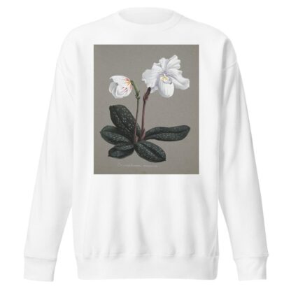 Collection d’orchidées Pl.29 by Anonymous Sweatshirt