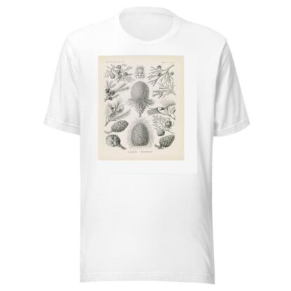Coniferae. – Bapfenbäume by Ernst Haeckel T-Shirt