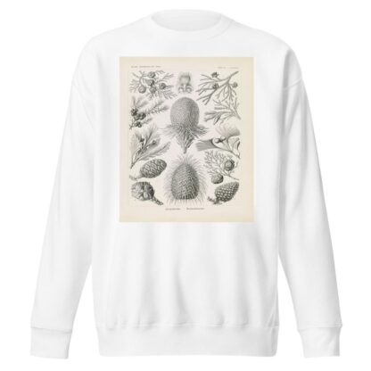 Coniferae. – Bapfenbäume by Ernst Haeckel Sweatshirt