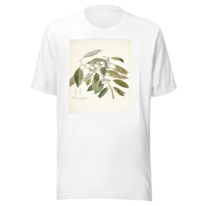 Conyza carolinensis by Nikolaus Joseph Freiherr von Jacquin T-Shirt