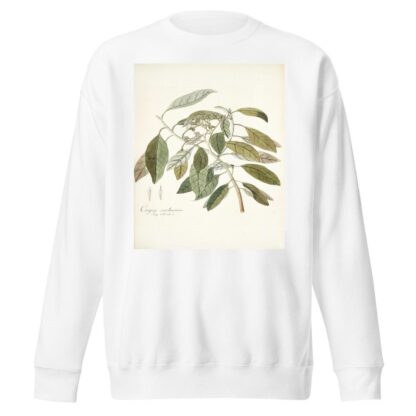 Conyza carolinensis by Nikolaus Joseph Freiherr von Jacquin Sweatshirt