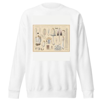Coprinus comatus Fr., porcellanus Schff. by Hans Walty Sweatshirt
