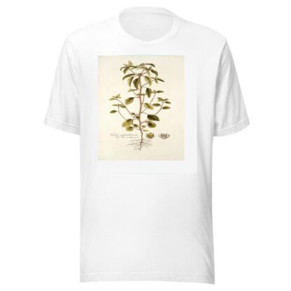 Croton glandulosum by Nikolaus Joseph Freiherr von Jacquin T-Shirt