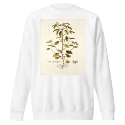 Croton glandulosum by Nikolaus Joseph Freiherr von Jacquin Sweatshirt