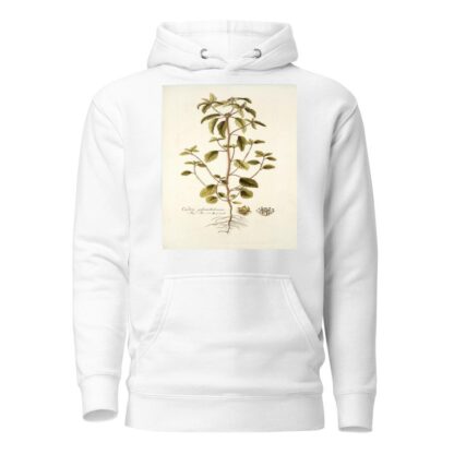 Croton glandulosum by Nikolaus Joseph Freiherr von Jacquin Hoodie