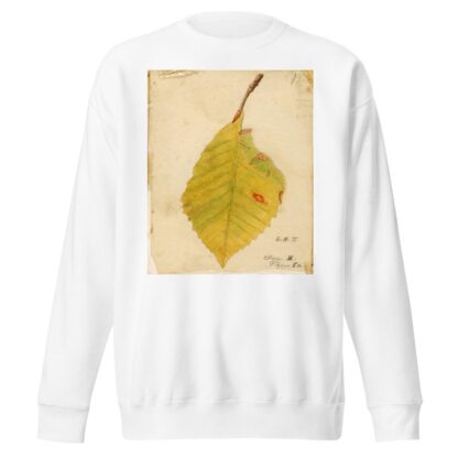 Crumpled and Withered Leaf Edge Mimicking Caterpillar by Emma Beach Thayer Sweatshirt