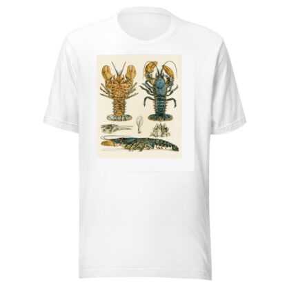 Crustacea II by Frederick McCoy T-Shirt