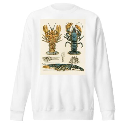 Crustacea II by Frederick McCoy Sweatshirt