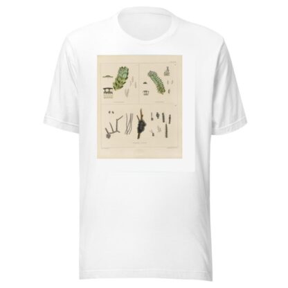 Cryptogamic botany of the Antarctic voyage of H.M. Discovery ships Erebus and Terror in the years 1839 Pl.11 by Walter Hood Fitch T-Shirt