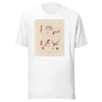 Cryptogamic botany of the Antarctic voyage of H.M. Discovery ships Erebus and Terror in the years 1839 Pl.19 by Walter Hood Fitch T-Shirt