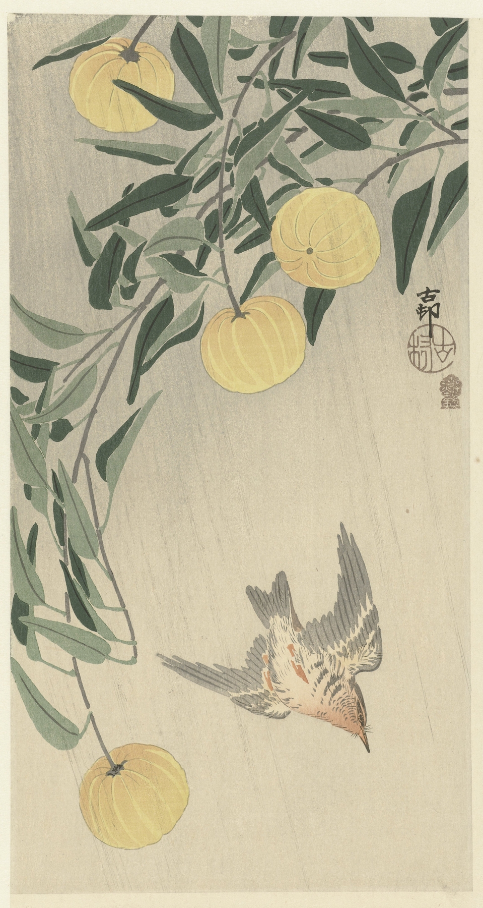 Cuckoo in the rain by Ohara Koson