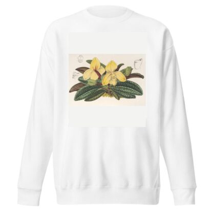Cypripedium concolor by Charles Antoine Lemaire Sweatshirt