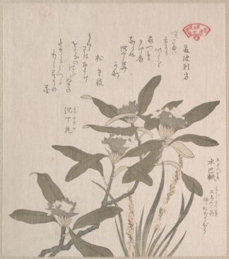 Daphne odora and Mojisuri-so by Kubo Shunman