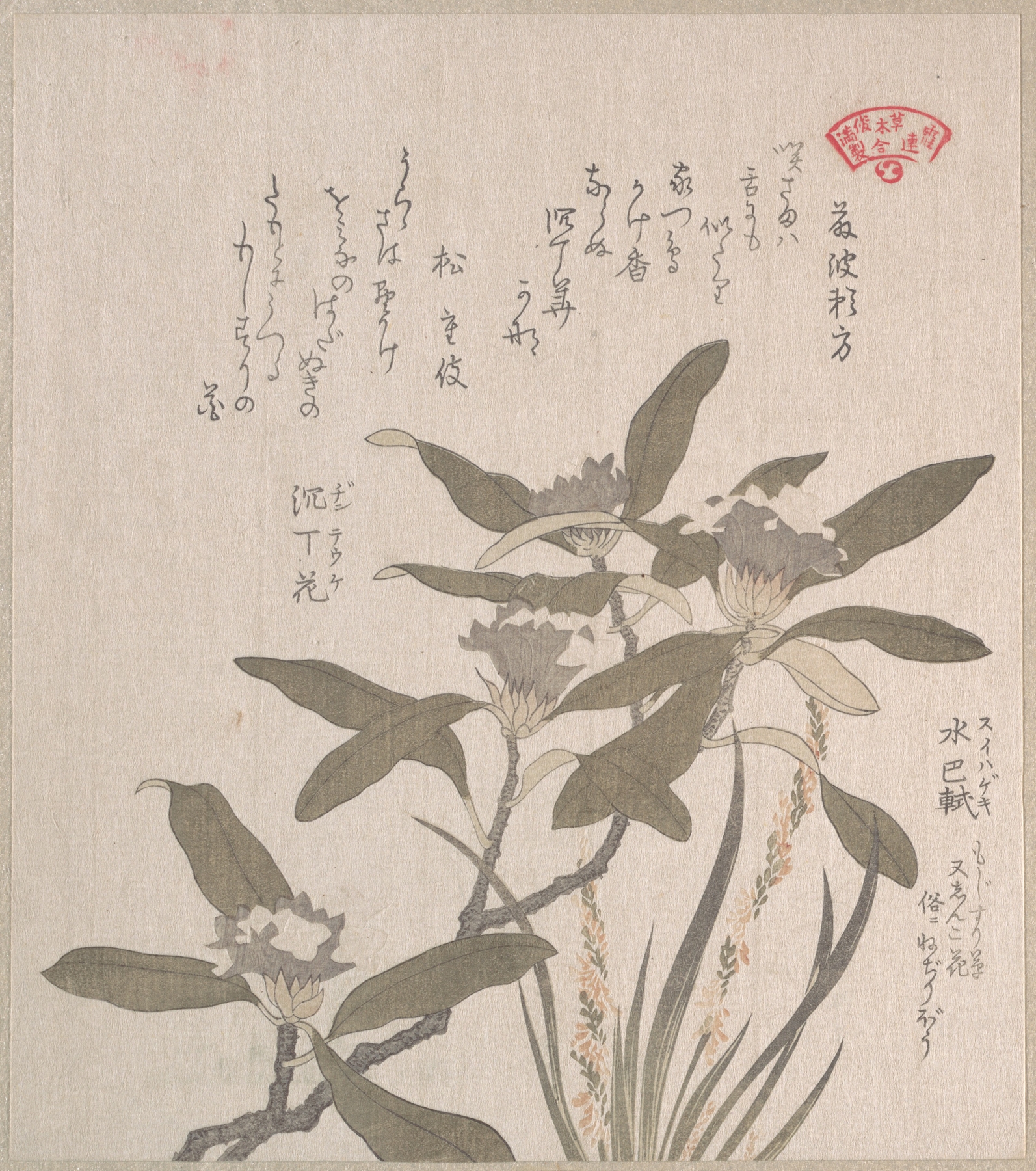 Daphne odora and Mojisuri-so by Kubo Shunman