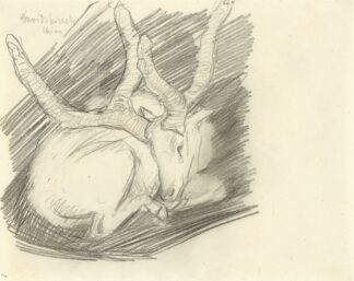 Davidshirsch by Franz Marc