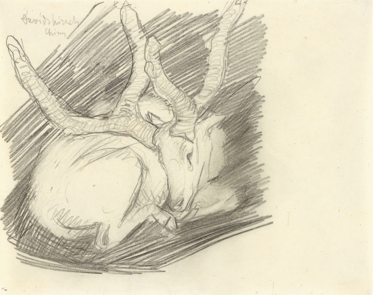 Davidshirsch by Franz Marc
