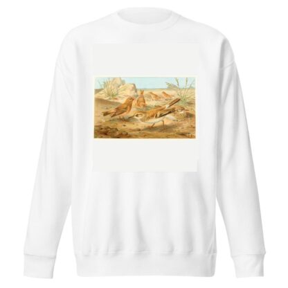 Desert Finch and Desert Lark by Anonymous Sweatshirt