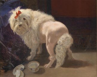 Die zerbrochene Schale by Anton Schrödl