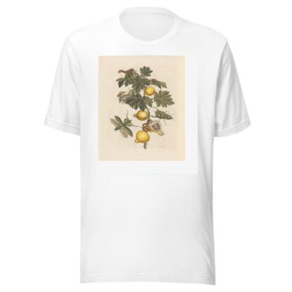 Dissertation sur la generation et les transformations des insectes de Surinam Pl.66 by Maria Sibylla Merian T-Shirt