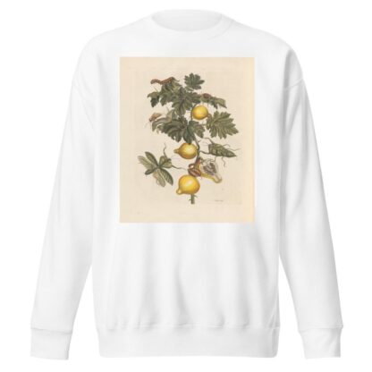 Dissertation sur la generation et les transformations des insectes de Surinam Pl.66 by Maria Sibylla Merian Sweatshirt