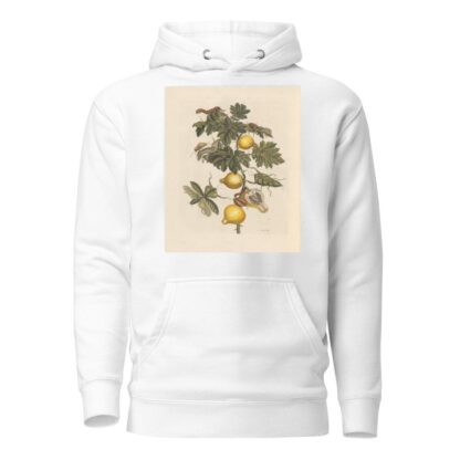 Dissertation sur la generation et les transformations des insectes de Surinam Pl.66 by Maria Sibylla Merian Hoodie