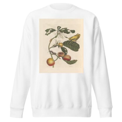 Dissertation sur la generation et les transformations des insectes de Surinam Pl.69 by Maria Sibylla Merian Sweatshirt