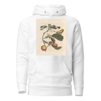 Dissertation sur la generation et les transformations des insectes de Surinam Pl.69 by Maria Sibylla Merian Hoodie