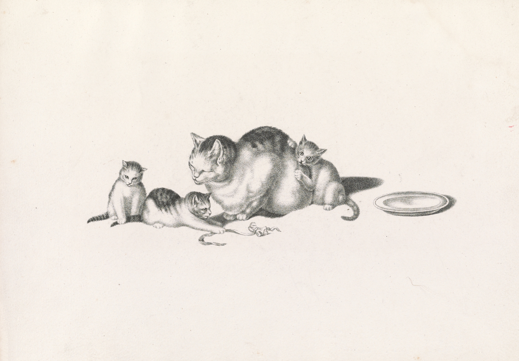 Domestic cat napping with three playful kittens and a saucer on the right by Gottfried Mind