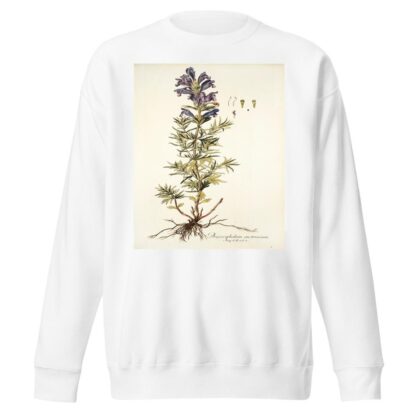 Dracocephalum austriacum by Nikolaus Joseph Freiherr von Jacquin Sweatshirt