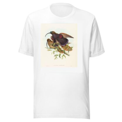 Drepanornis albertisi by John Gould T-Shirt