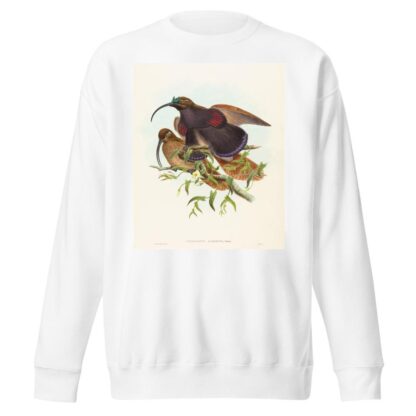 Drepanornis albertisi by John Gould Sweatshirt