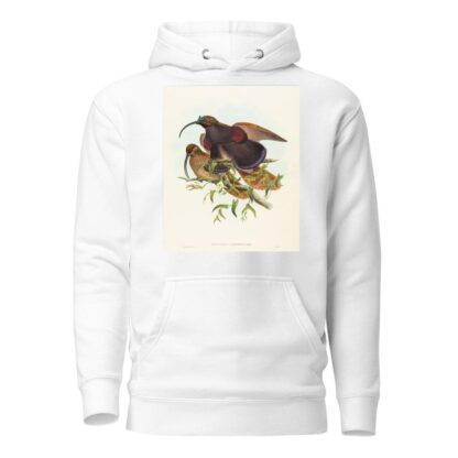 Drepanornis albertisi by John Gould Hoodie