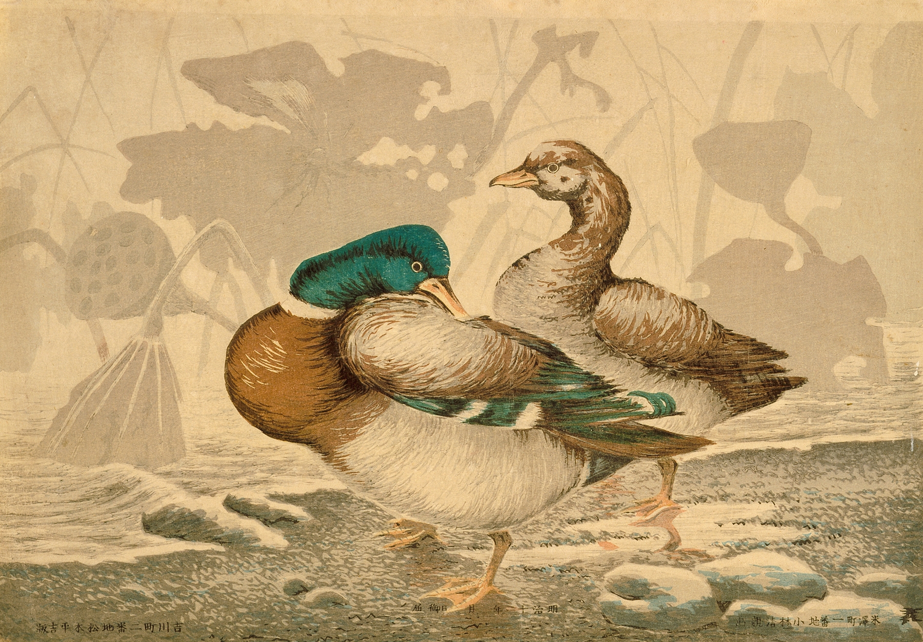 Ducks and Withered Lotus by Kobayashi Kiyochika