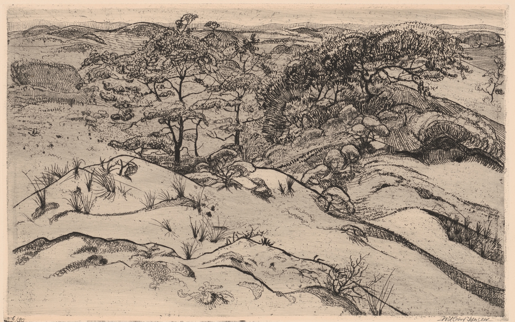 Dune Landscape by Willem Jansen