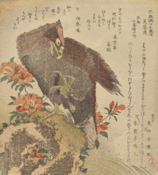Eagle with an upraised claw on a rock by an azalea bush by Kubo Shunman
