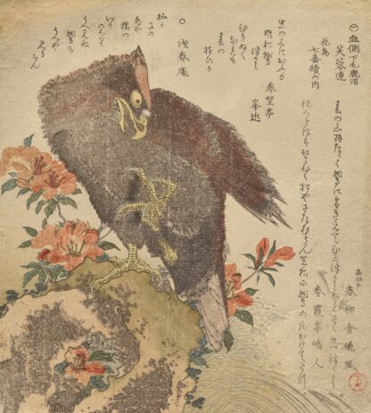 Eagle with an upraised claw on a rock by an azalea bush by Kubo Shunman