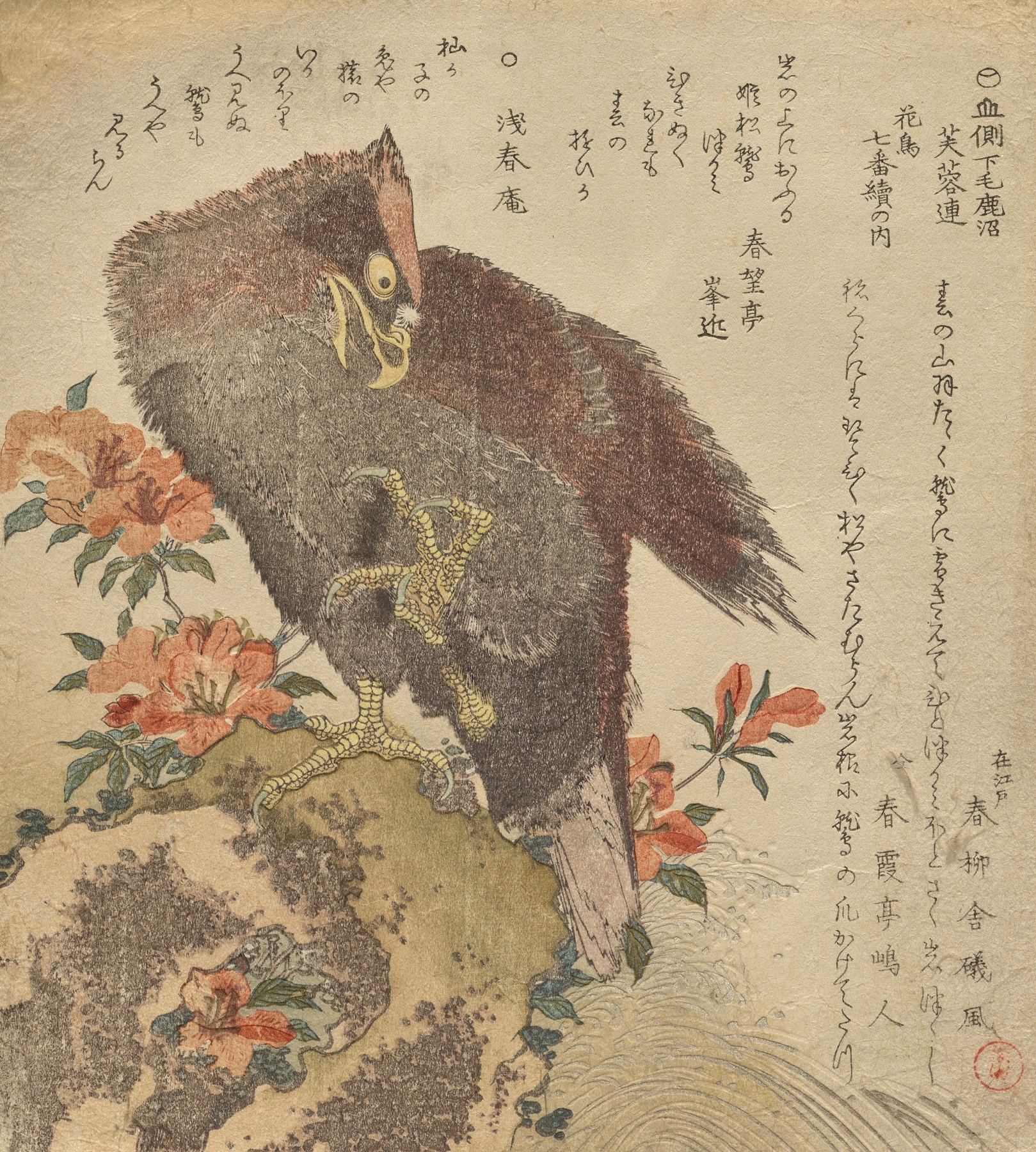 Eagle with an upraised claw on a rock by an azalea bush by Kubo Shunman