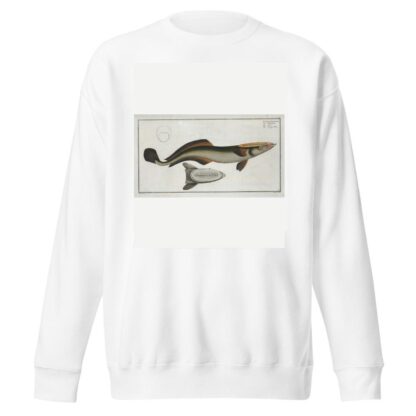 Echeneis Neucrates, The Sucking-Fish. by Marcus Elieser Bloch Sweatshirt
