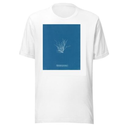 Ectocarpus granulosus by Anna Atkins T-Shirt