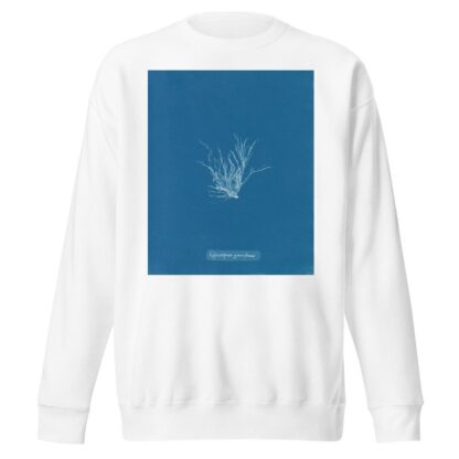 Ectocarpus granulosus by Anna Atkins Sweatshirt
