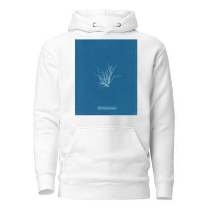Ectocarpus granulosus by Anna Atkins Hoodie